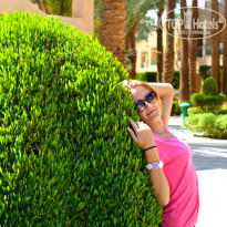 фото из отзыва ID 729555