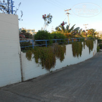 фото из отзыва ID 729572