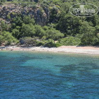 фото из отзыва ID 729600