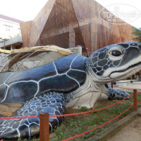 фото из отзыва ID 729732