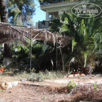 фото из отзыва ID 729749