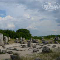 фото из отзыва ID 729754