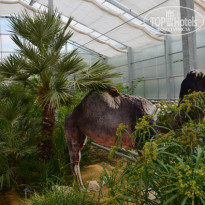 фото из отзыва ID 729754