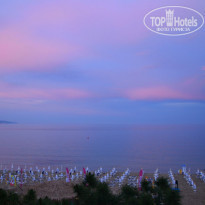 фото из отзыва ID 729754