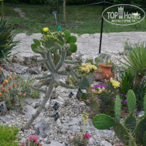 фото из отзыва ID 729754