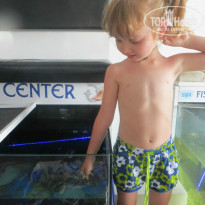 фото из отзыва ID 729757