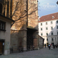 фото из отзыва ID 729779