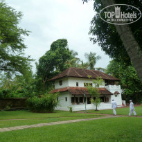 фото из отзыва ID 729839