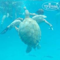 фото из отзыва ID 730361