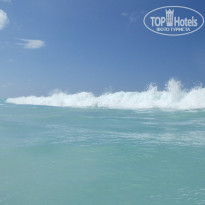 фото из отзыва ID 730361