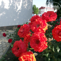 фото из отзыва ID 730457