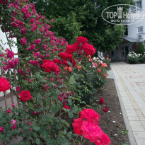 фото из отзыва ID 730457