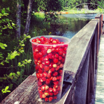 фото из отзыва ID 730540