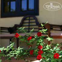 фото из отзыва ID 730533