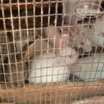 фото из отзыва ID 730629