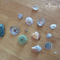 фото из отзыва ID 730629