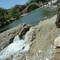 фото из отзыва ID 730629