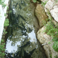 фото из отзыва ID 730629