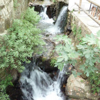 фото из отзыва ID 730629