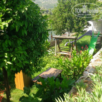 фото из отзыва ID 730688