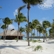 фото из отзыва ID 730948