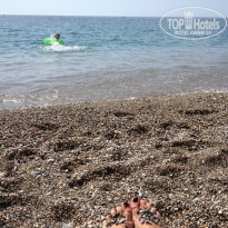 фото из отзыва ID 731012