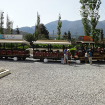 фото из отзыва ID 731441