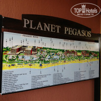 фото из отзыва ID 731499