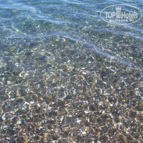 фото из отзыва ID 731508