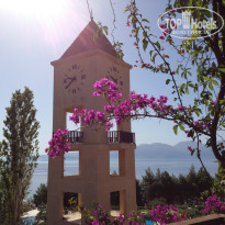 фото из отзыва ID 731547