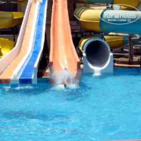 фото из отзыва ID 731651