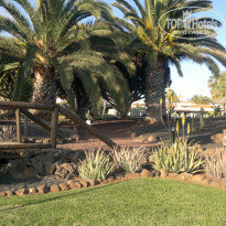 фото из отзыва ID 731766