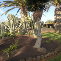 фото из отзыва ID 731766