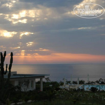 фото из отзыва ID 732024