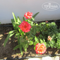фото из отзыва ID 732091