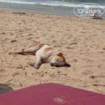 фото из отзыва ID 732165