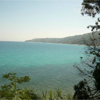 фото из отзыва ID 732303