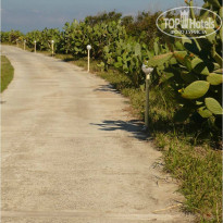 фото из отзыва ID 732303