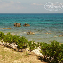 фото из отзыва ID 732303