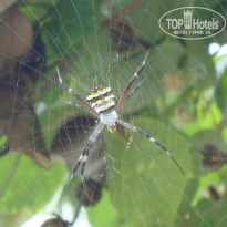 фото из отзыва ID 732599