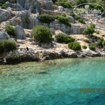 фото из отзыва ID 732861