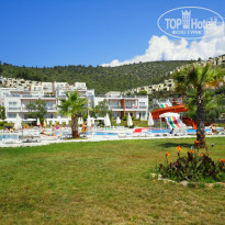 фото из отзыва ID 732304