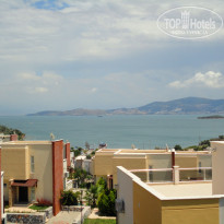 фото из отзыва ID 732304