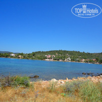 фото из отзыва ID 732304