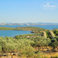 фото из отзыва ID 732304