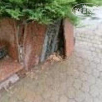 фото из отзыва ID 732513