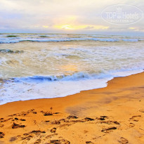 фото из отзыва ID 733097