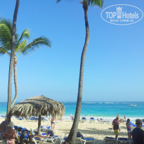 фото из отзыва ID 733208