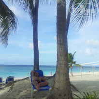 фото из отзыва ID 733208