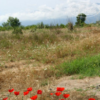 фото из отзыва ID 733299